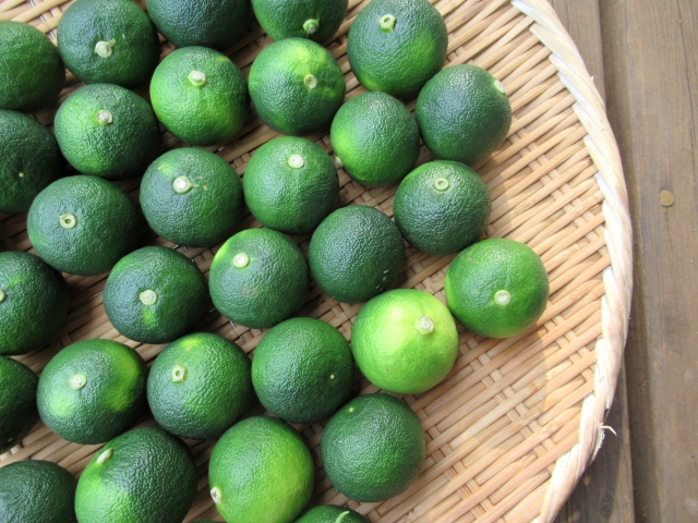 徳島県の風景：すだち