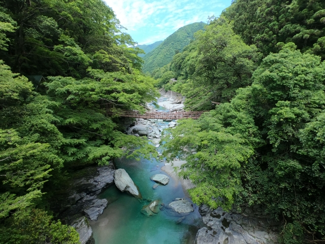 徳島県の風景：祖谷のかずら橋